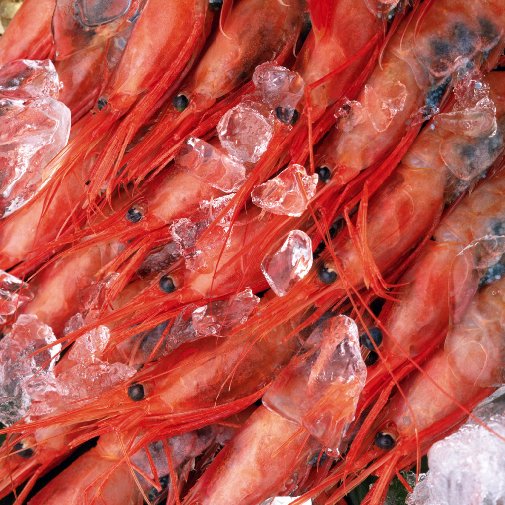 Замороженные креветки