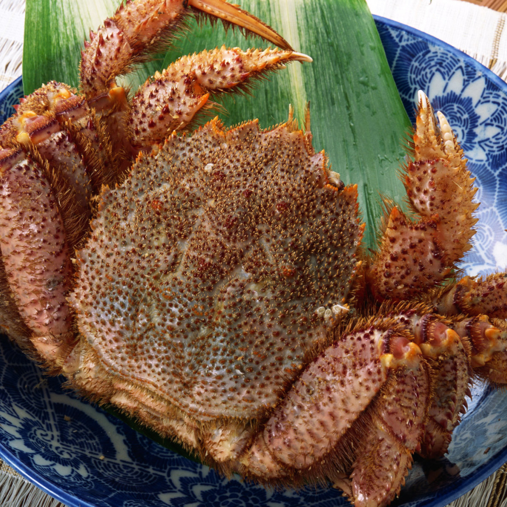 Колючий краб