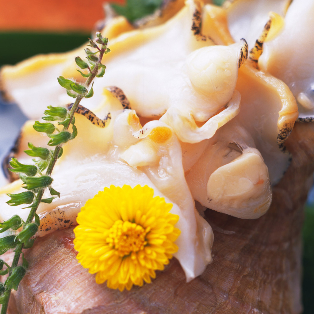 вкусный кальмар