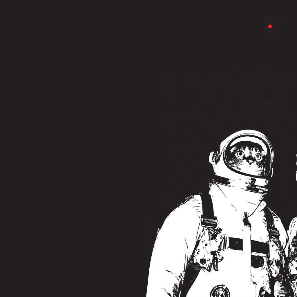 Коты космонавты