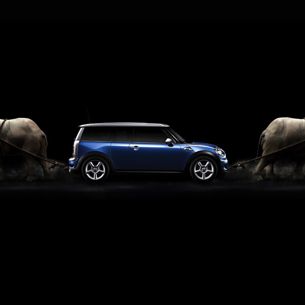 Борьба за автомобиль