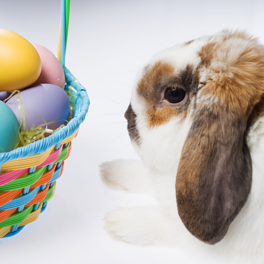 Пасхальный кролик