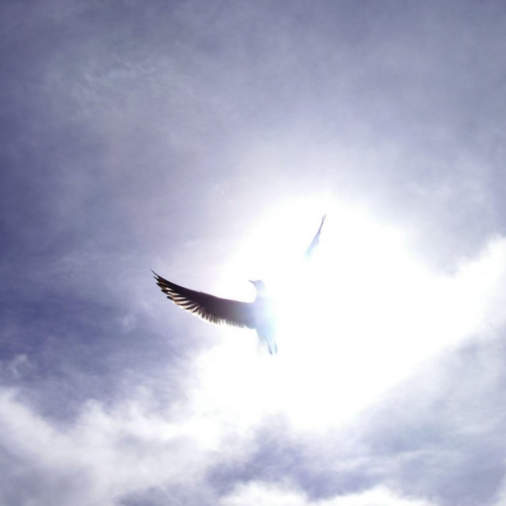 Праздничный день