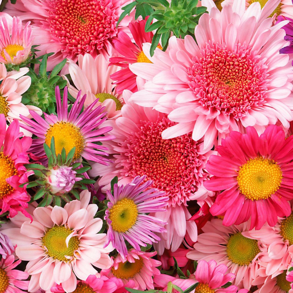 Красивые цветы на 8 марта