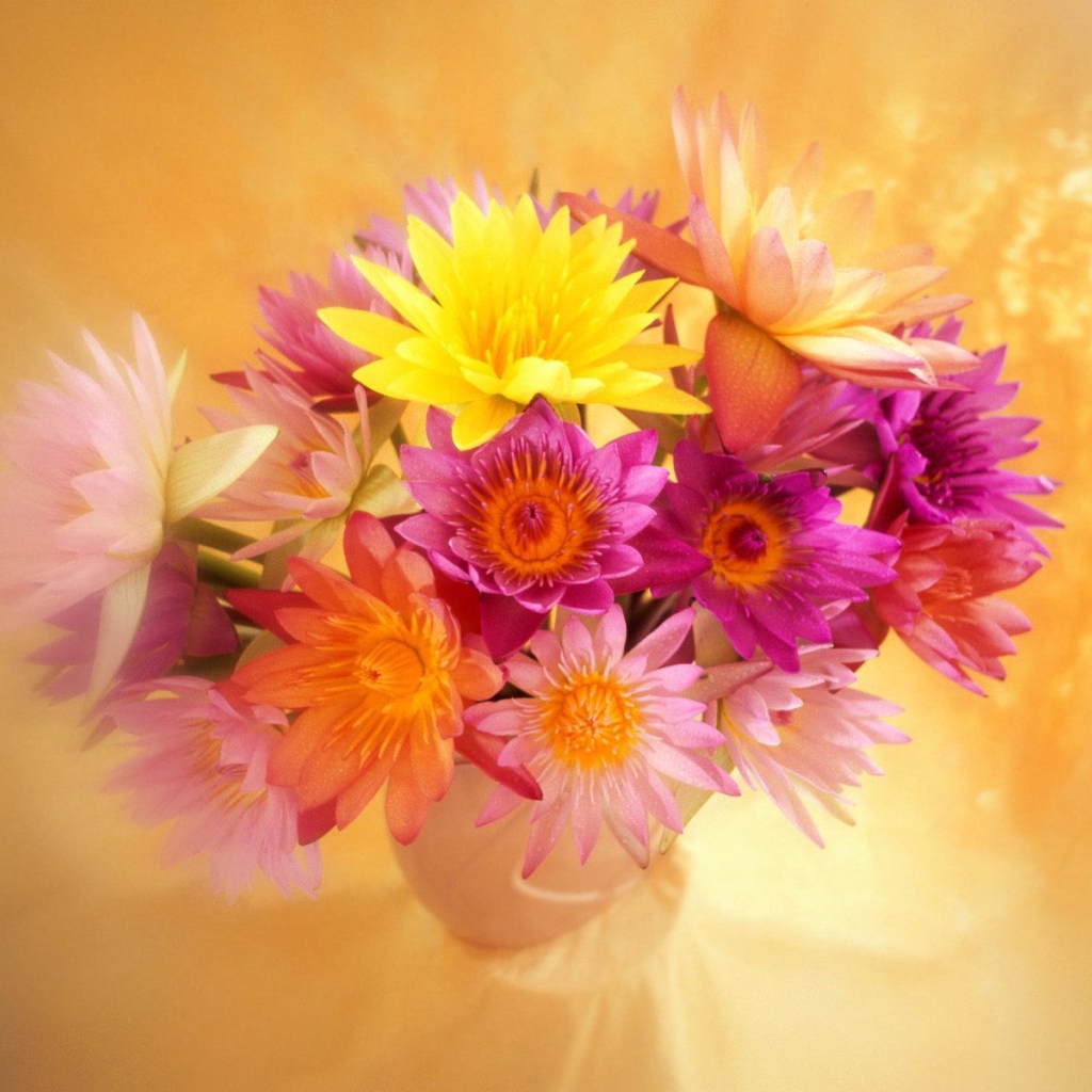 Яркие цветы красивым женщинам на 8 марта