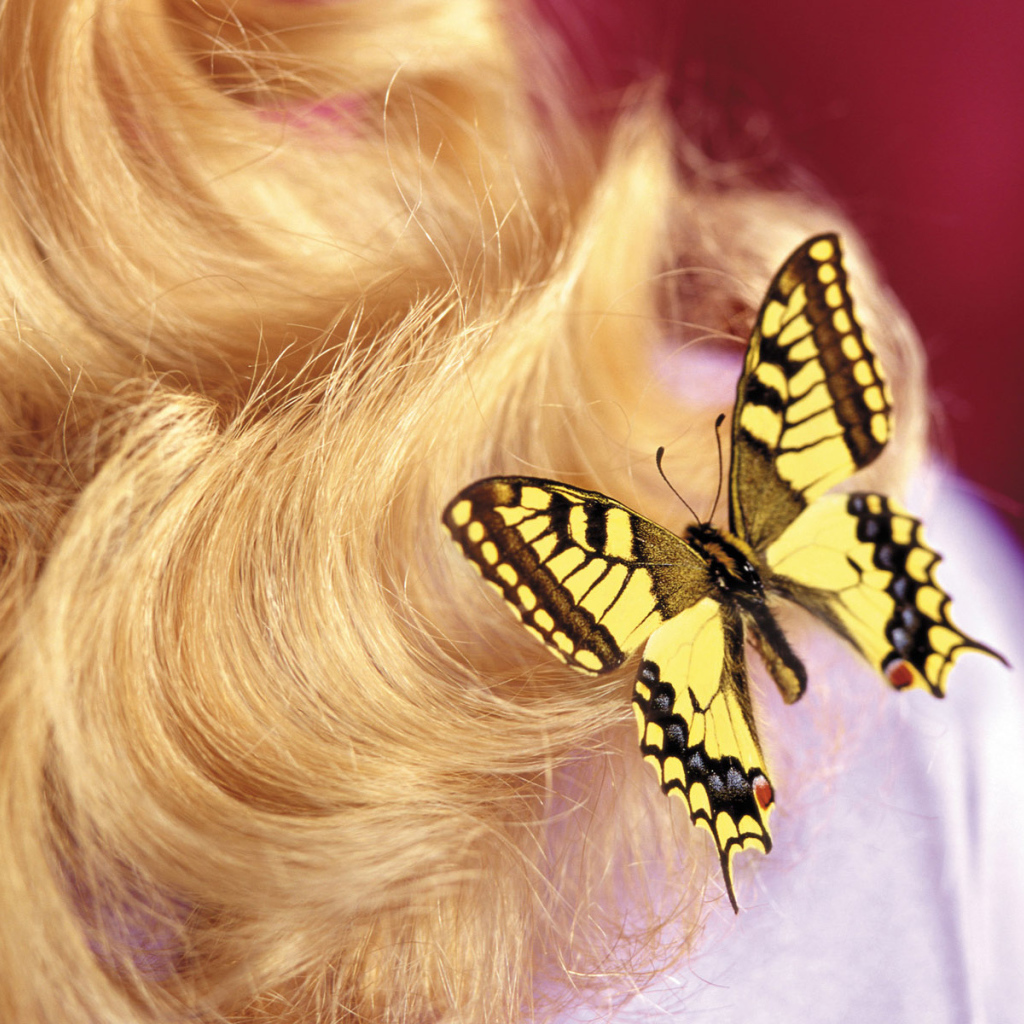 Бабочка на 8 марта