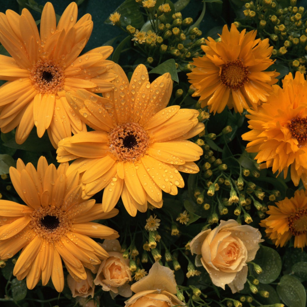 Цветы любимой женщине