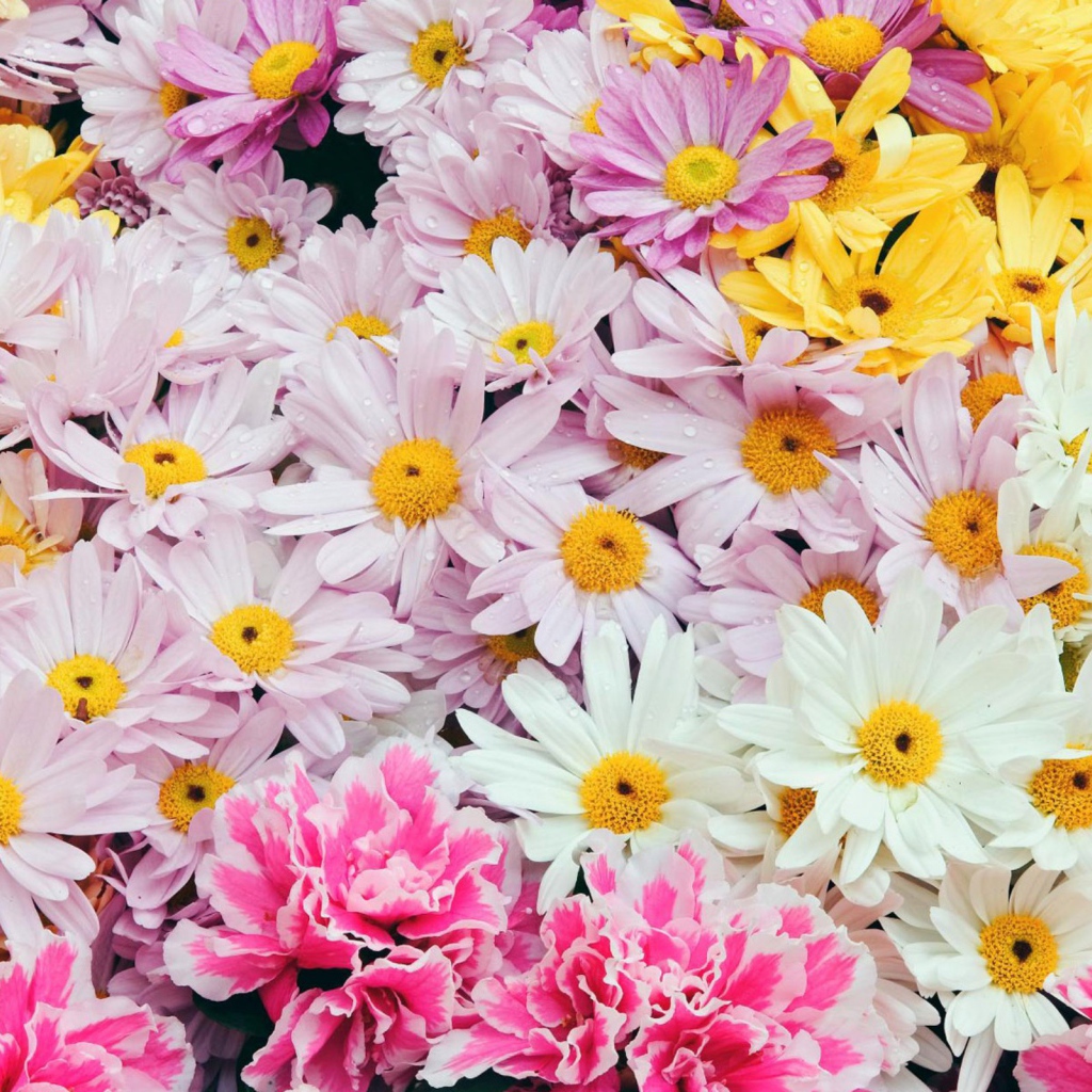 Цветы дорогим женщинам