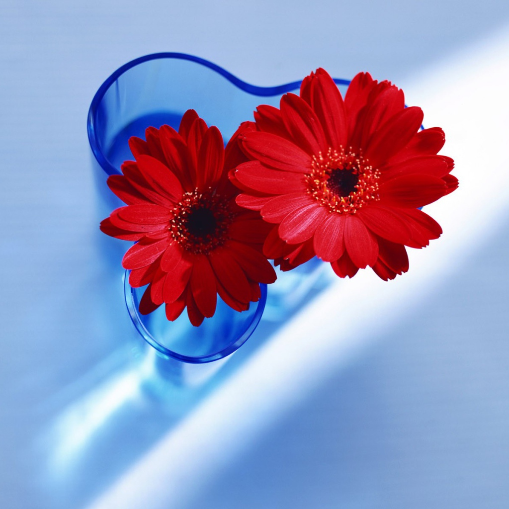 Цветы любимым девушкам на 8 марта