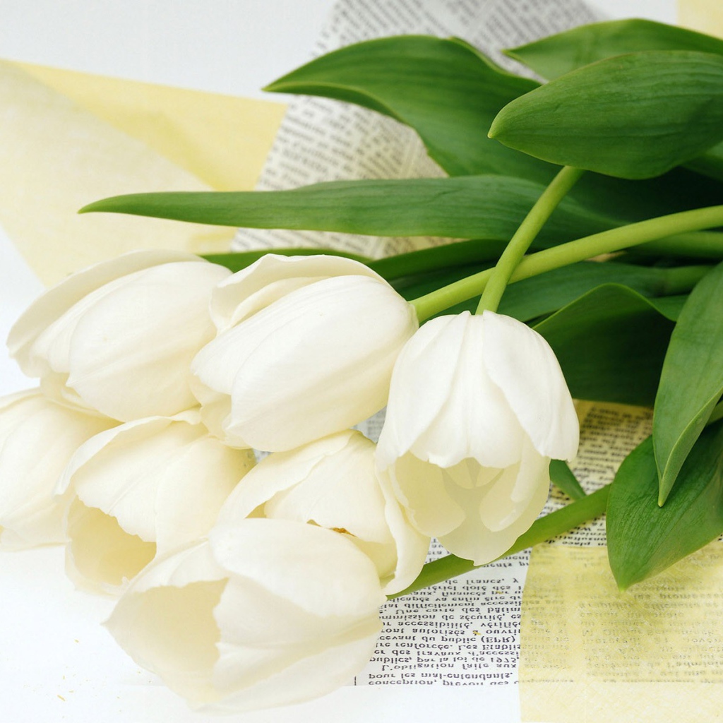 Цветы для самой желанной