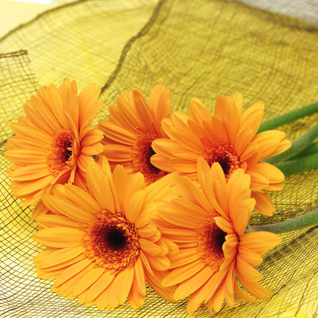 Цветы для самой красивой