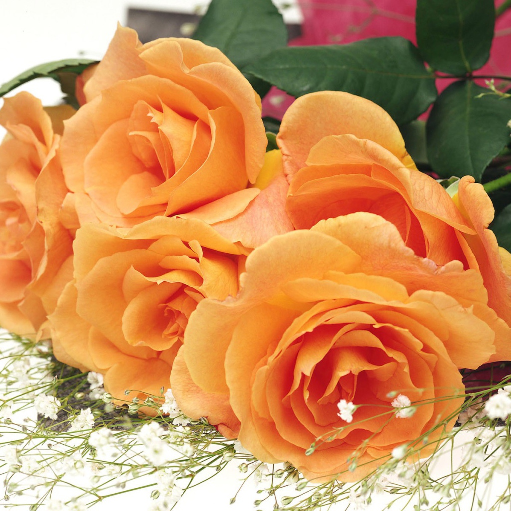 Подарок женщинам красавицам