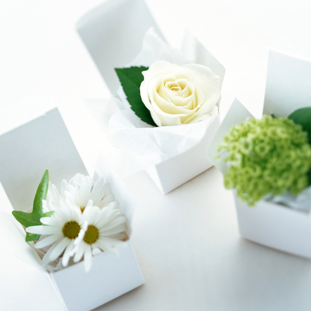 Сюрприз на 8 марта