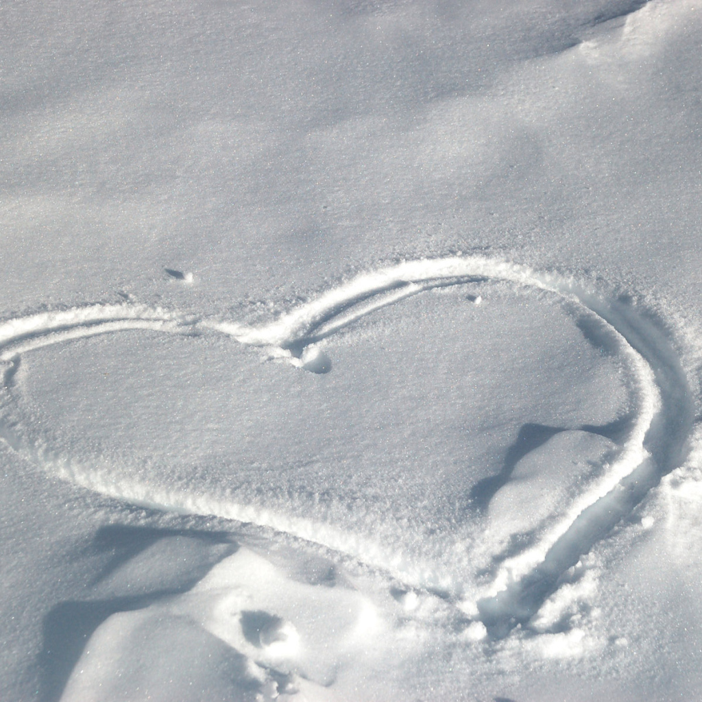 След на снегу