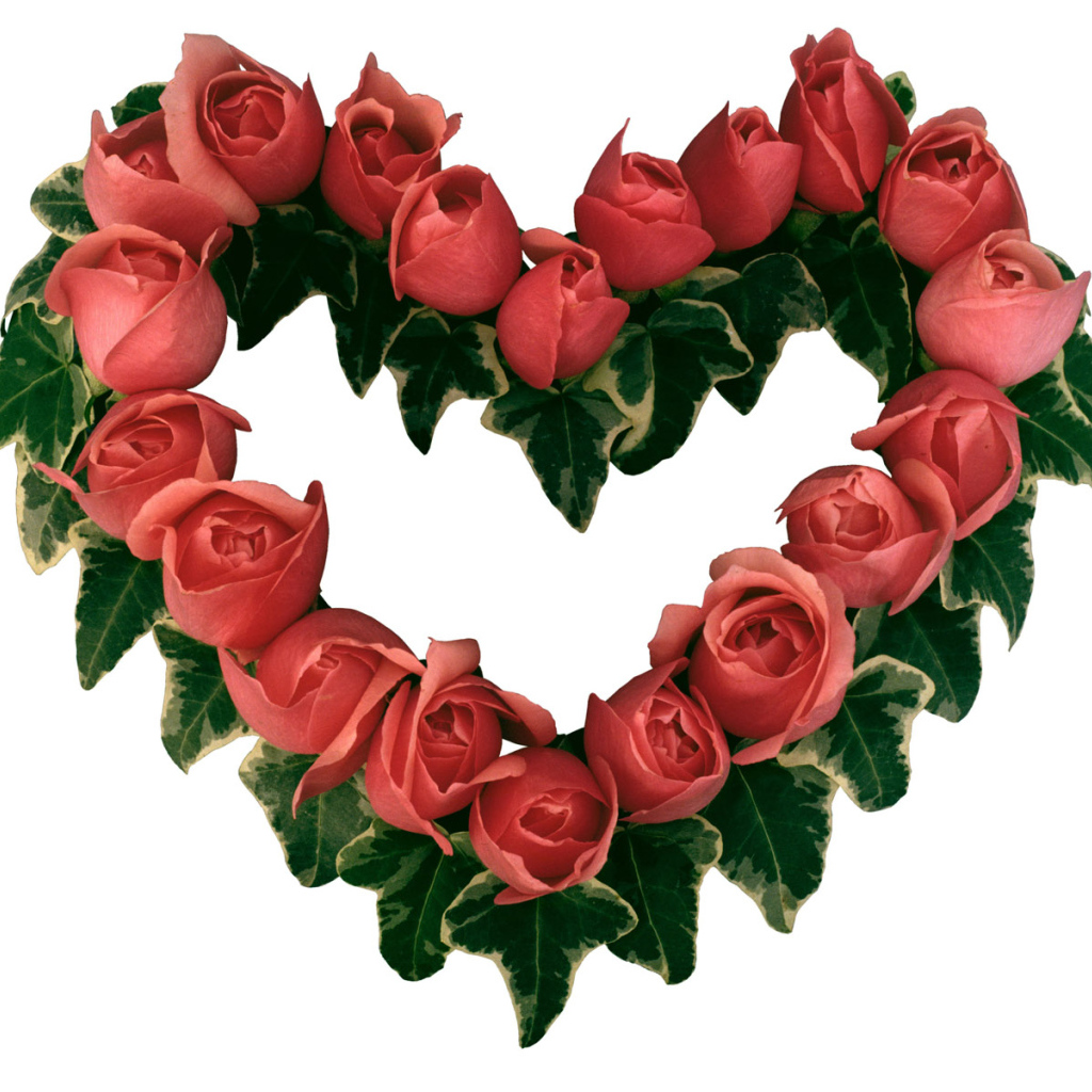 Сердце из роз