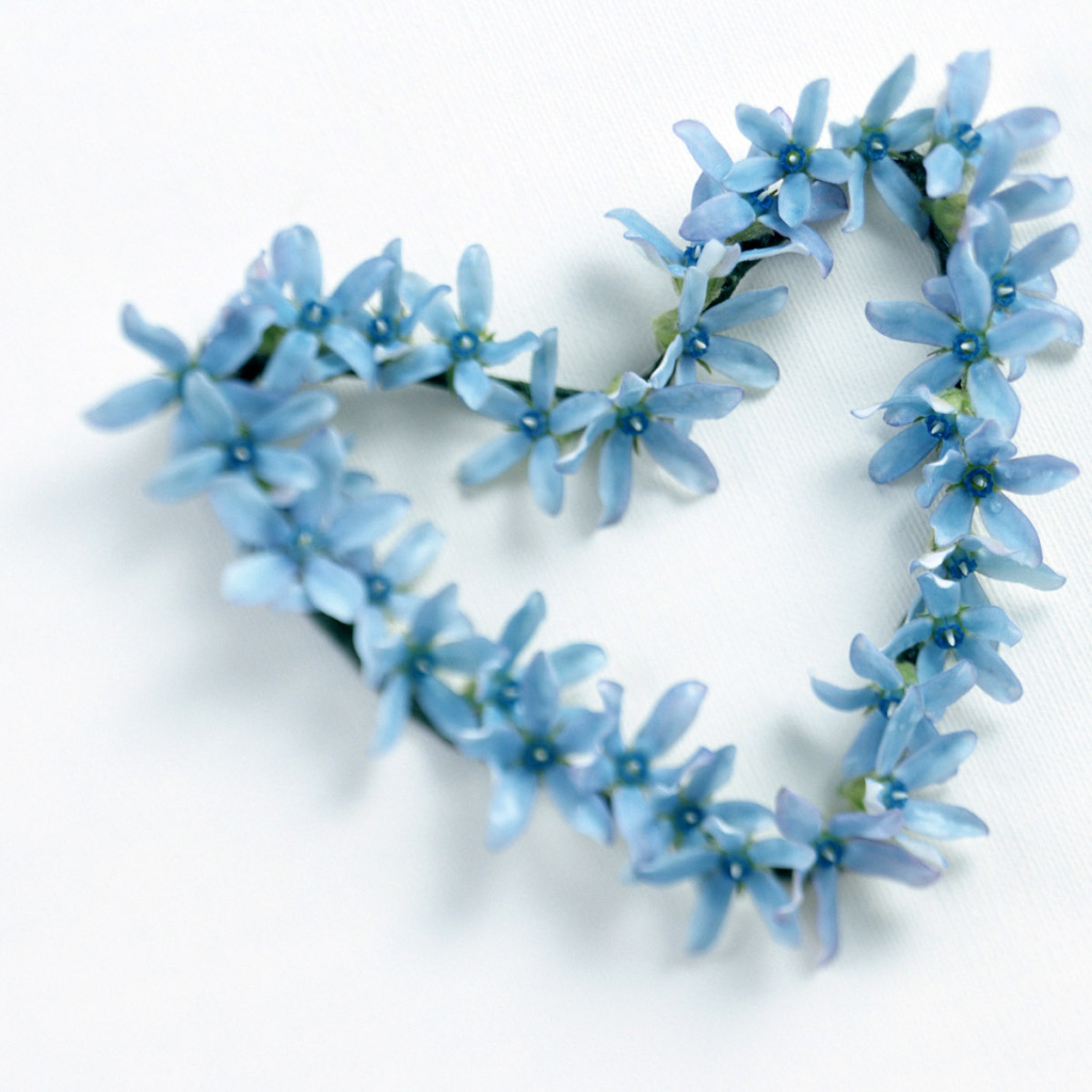 Сердечко из голубых цветов