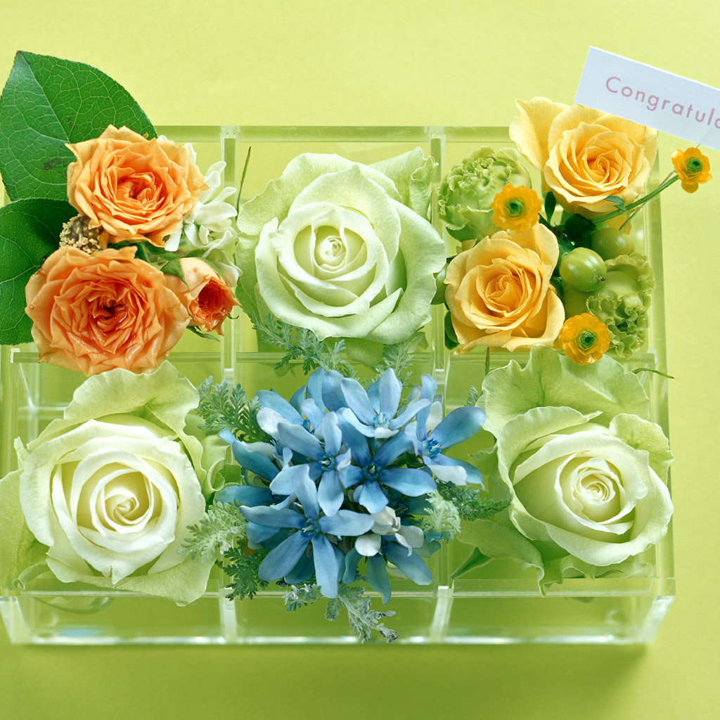 Подарок девушке в День Св. Валентина