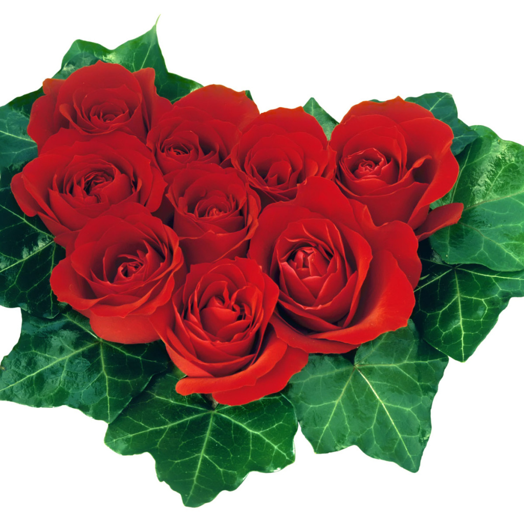 Розовое сердечко