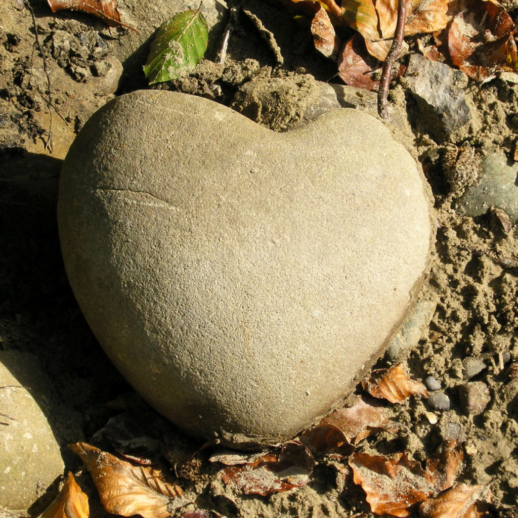 Стало сердце камнем. Каменное сердце. Каменные сердечки. Сердце не Каменное. Каменное сердце Галь.