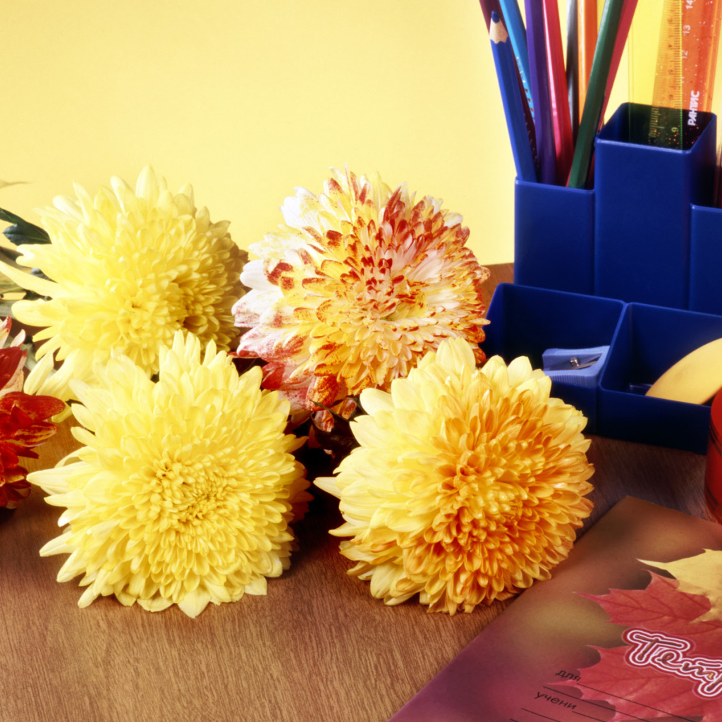 Снова за парту