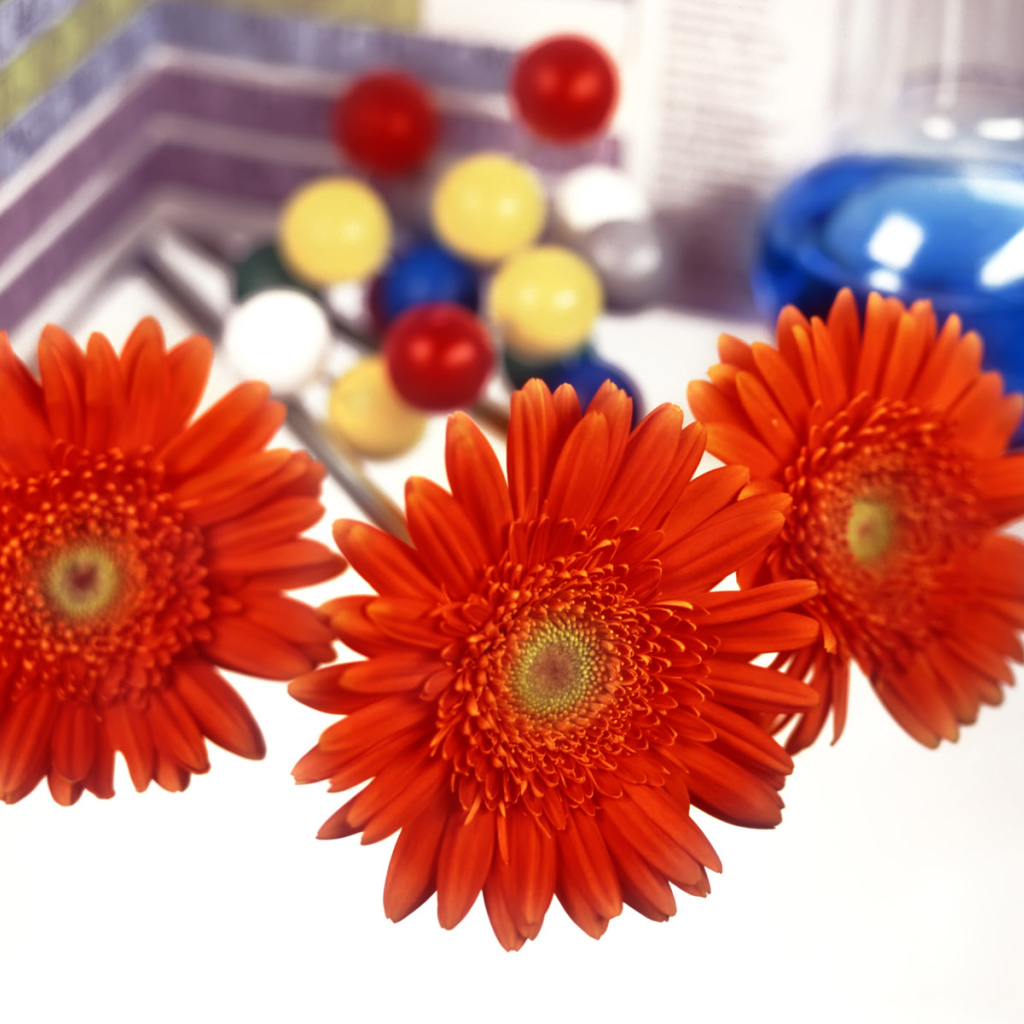 Первый день учебы