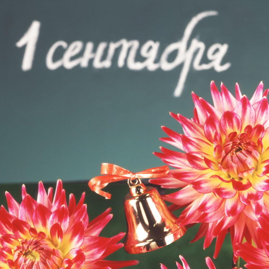 День знаний