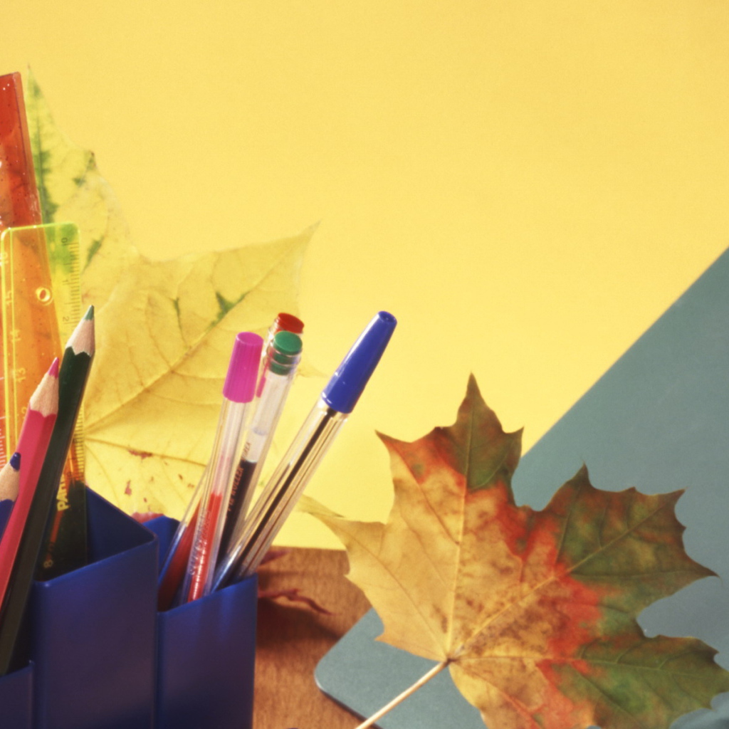 Новый учебный год