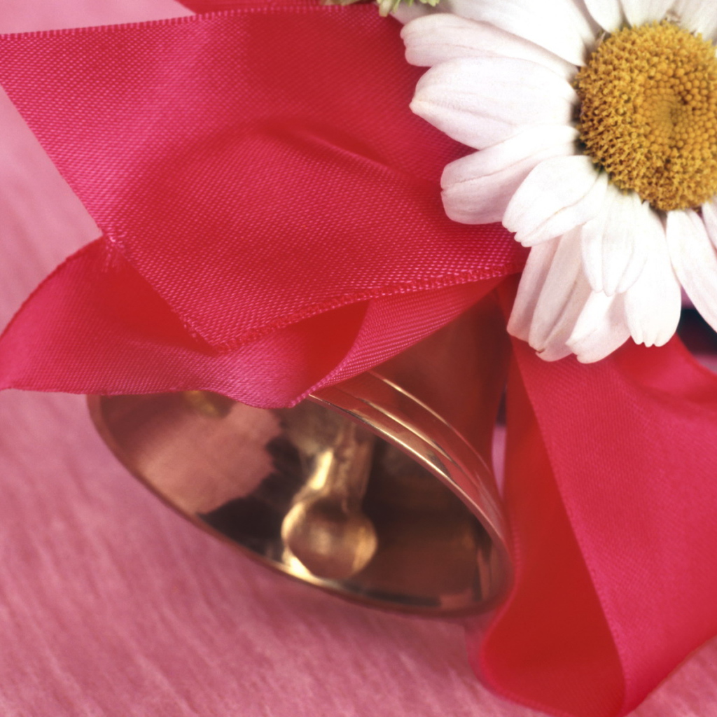 Начало учебы