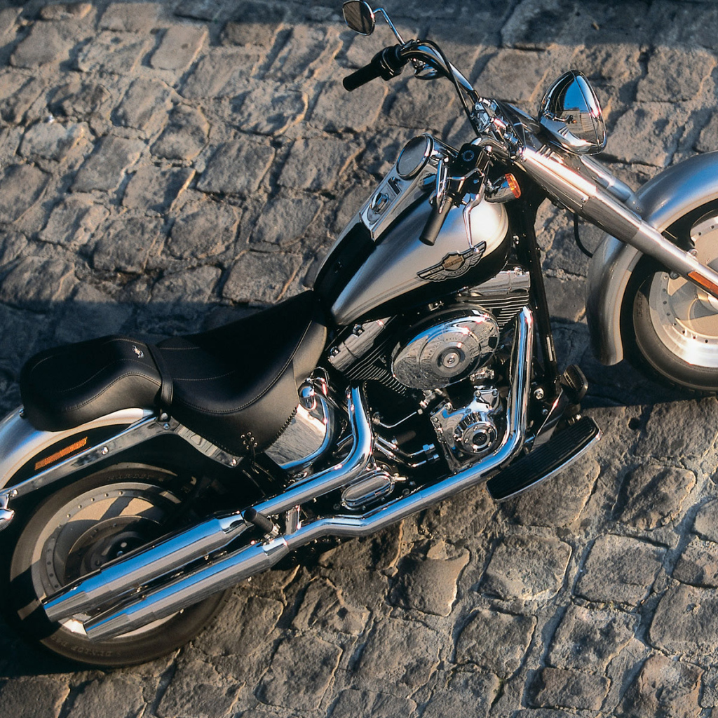 Harley Davidson каменная дорога