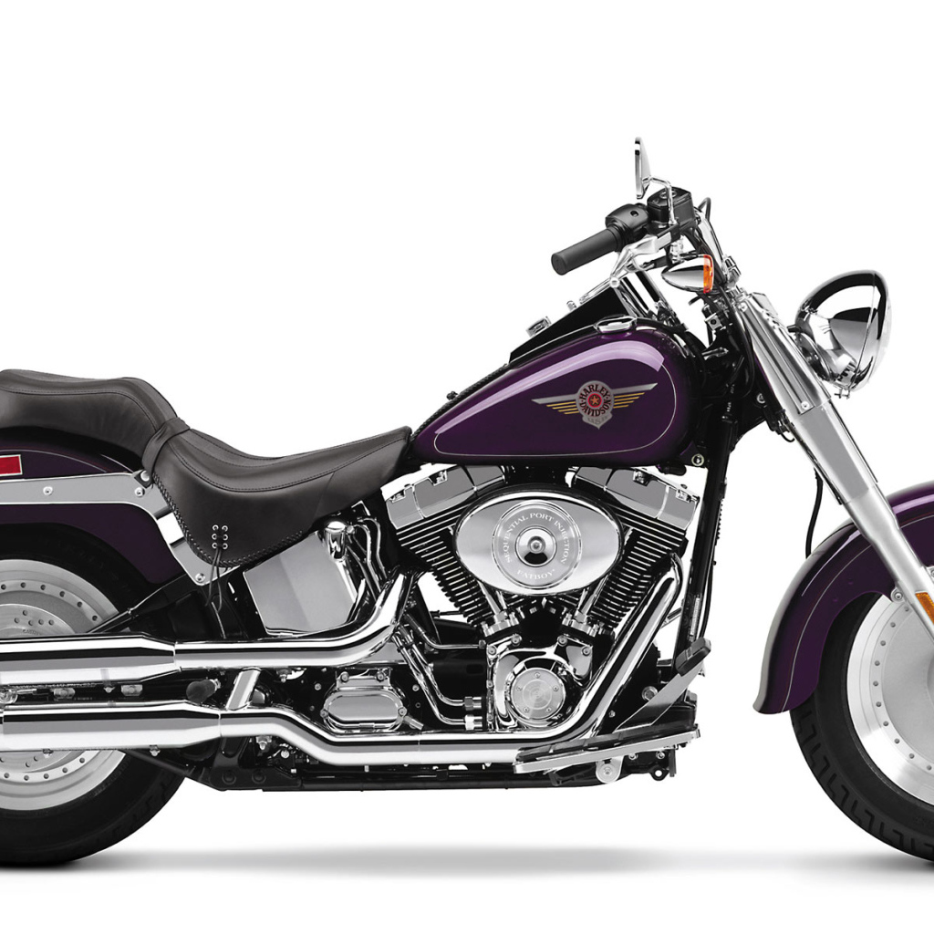 Фиолетовый Харлей