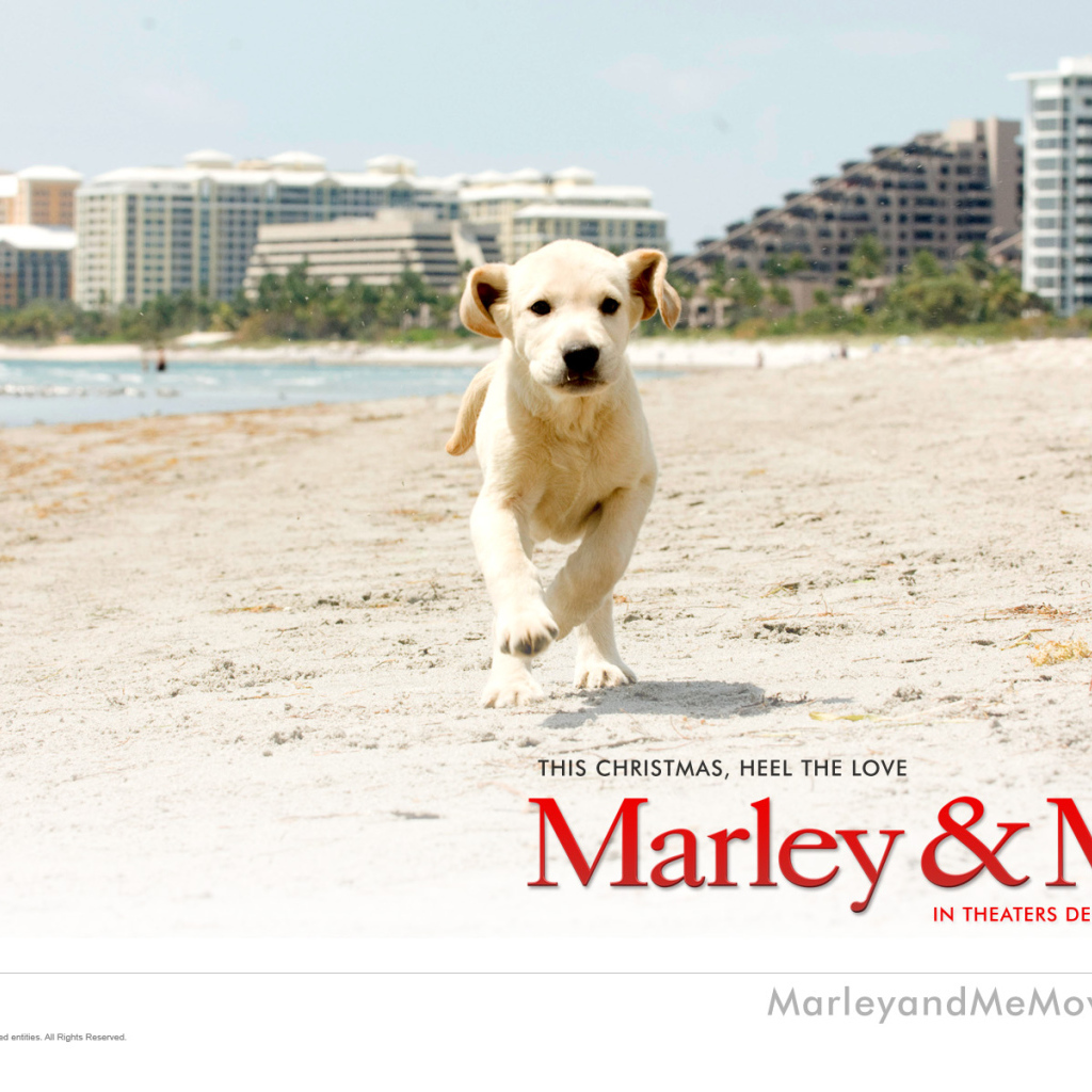 Марли и я / Marley & Me рождественская комедия