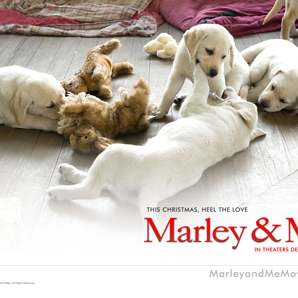 Марли и я / Marley & Me фильм