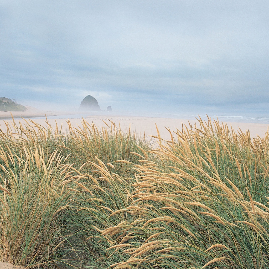 На берегу моря