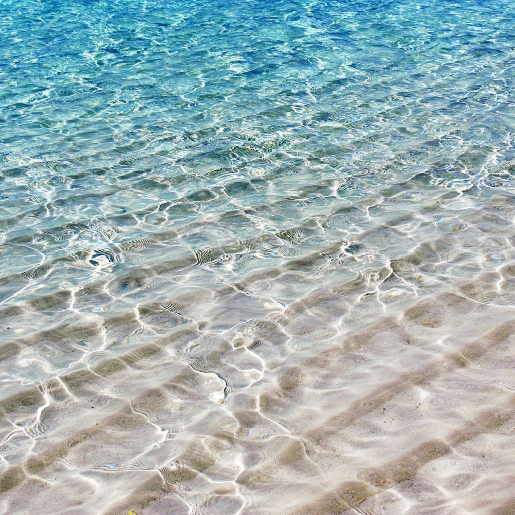 На берегу моря