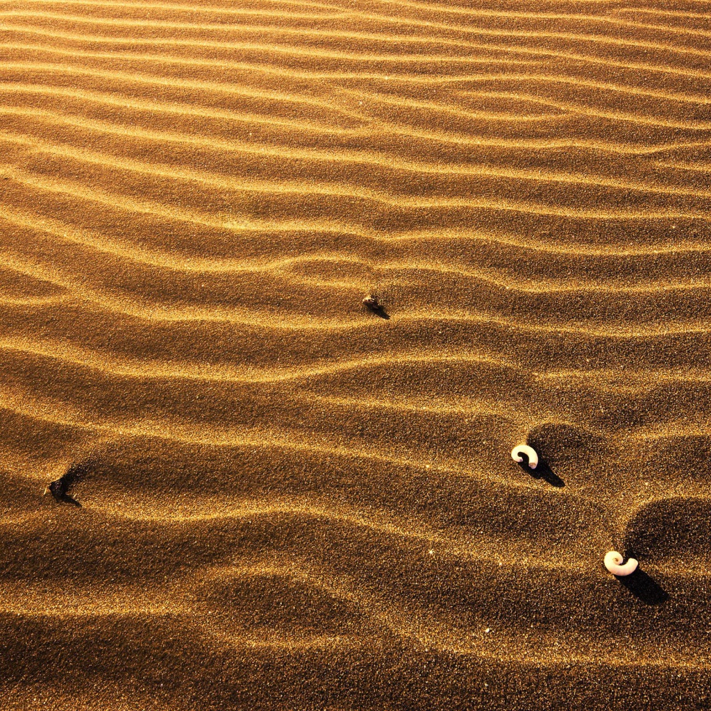 Пляжный песок