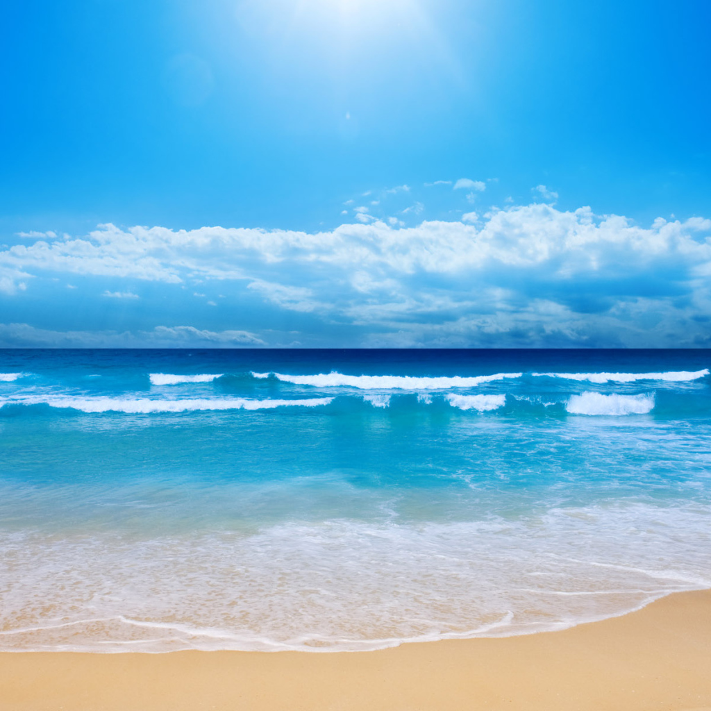 Новая волна