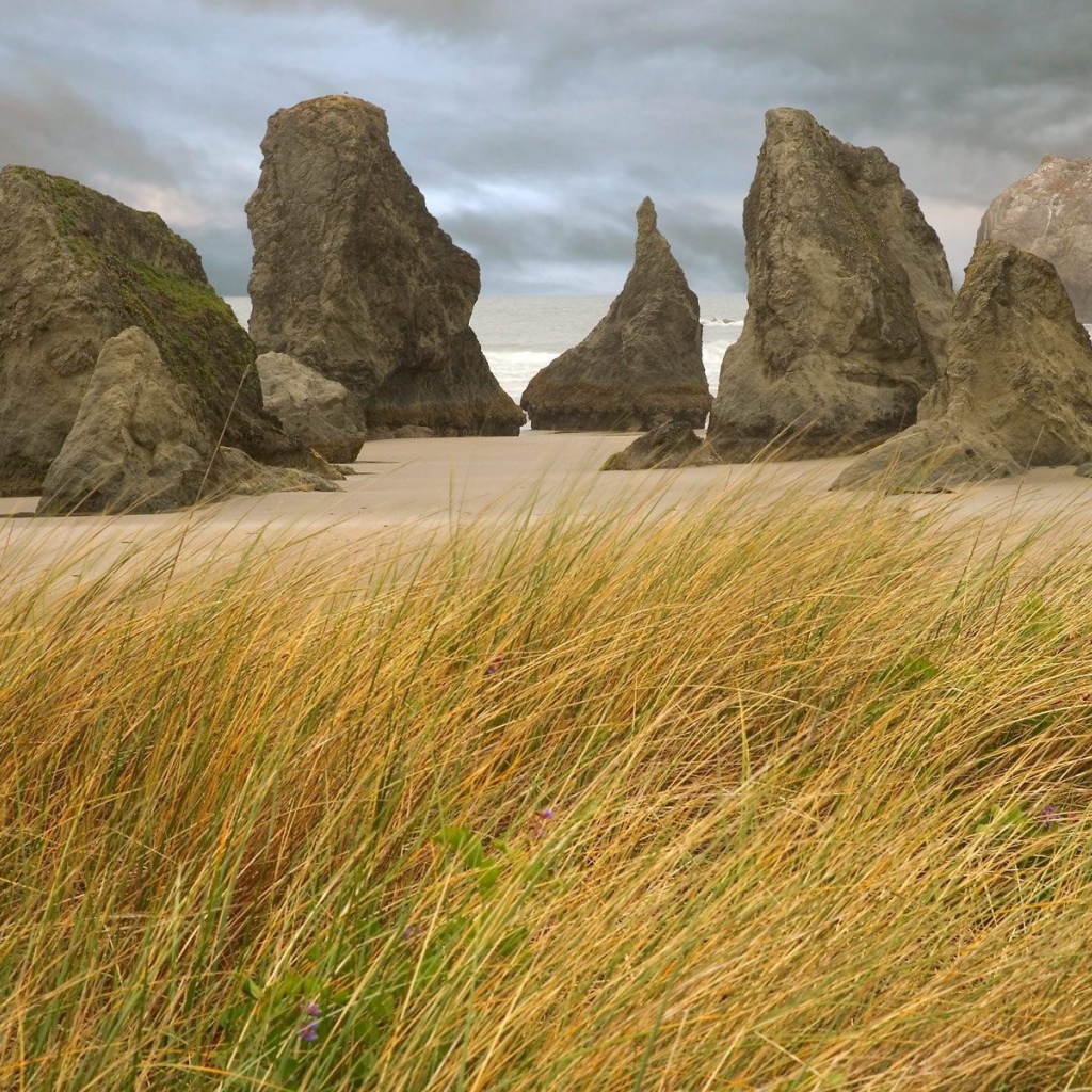 Пребрежные скалы