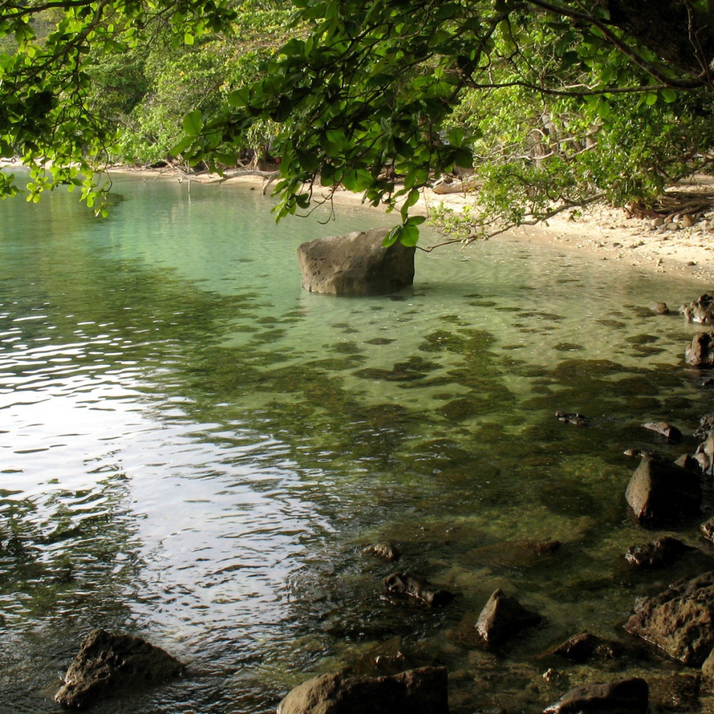 Тихий берег озера