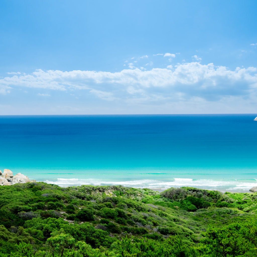 Рай на Земле