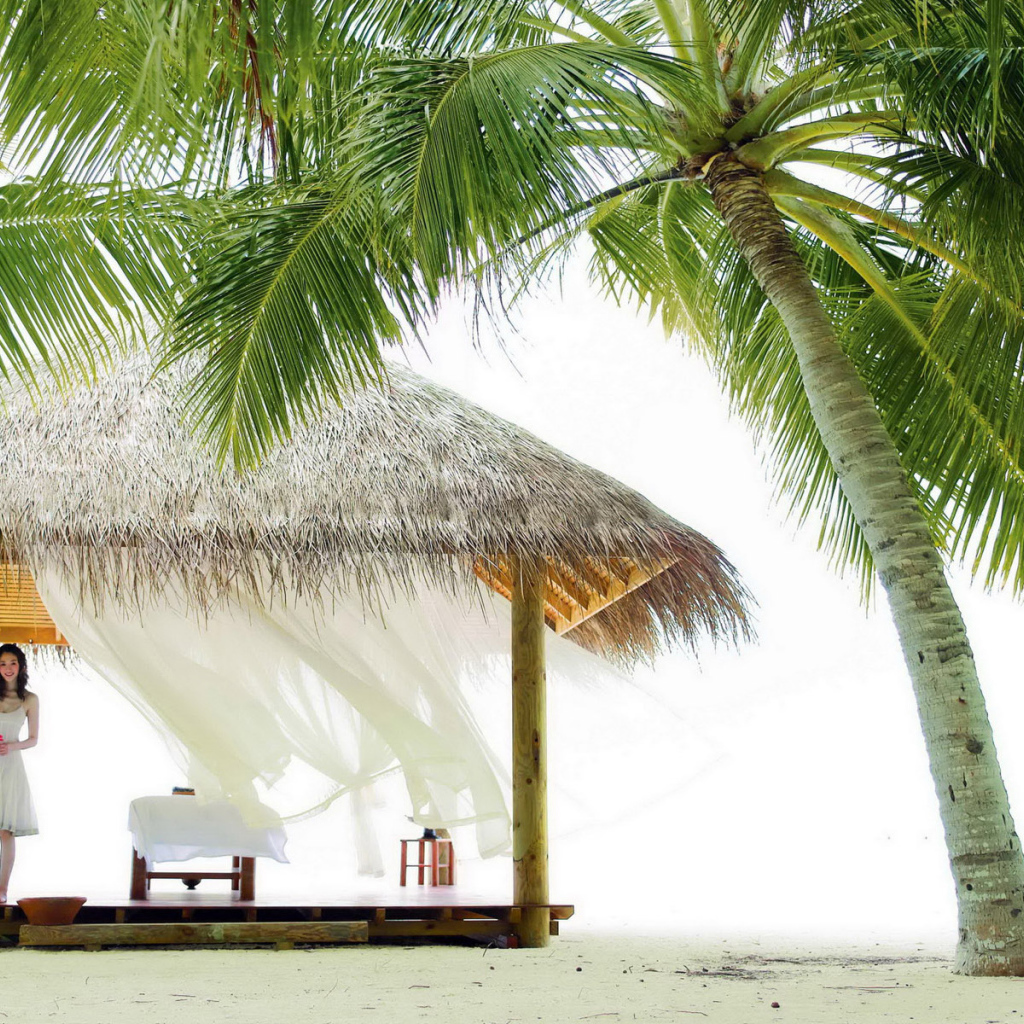 Беседка под пальмой