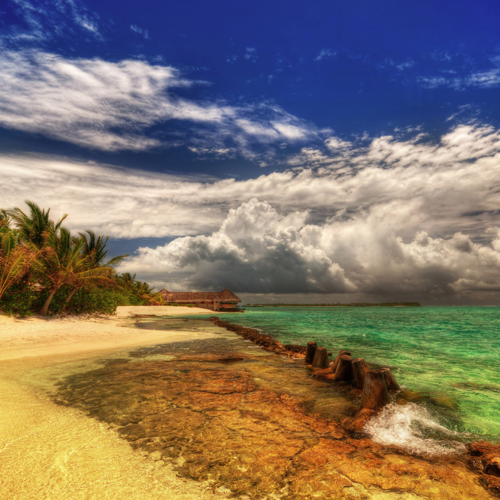 Земля обетованная