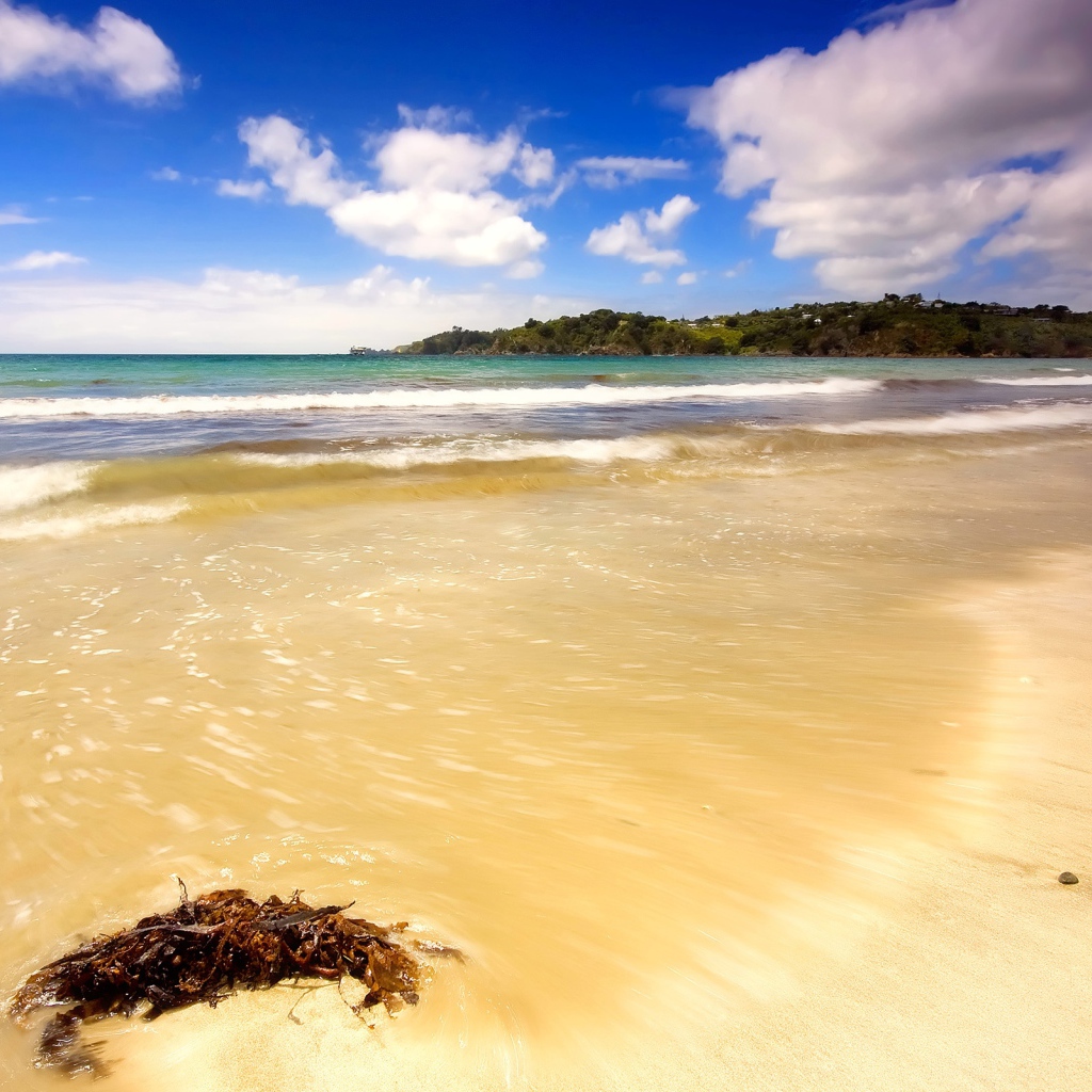 Летний день на пляже