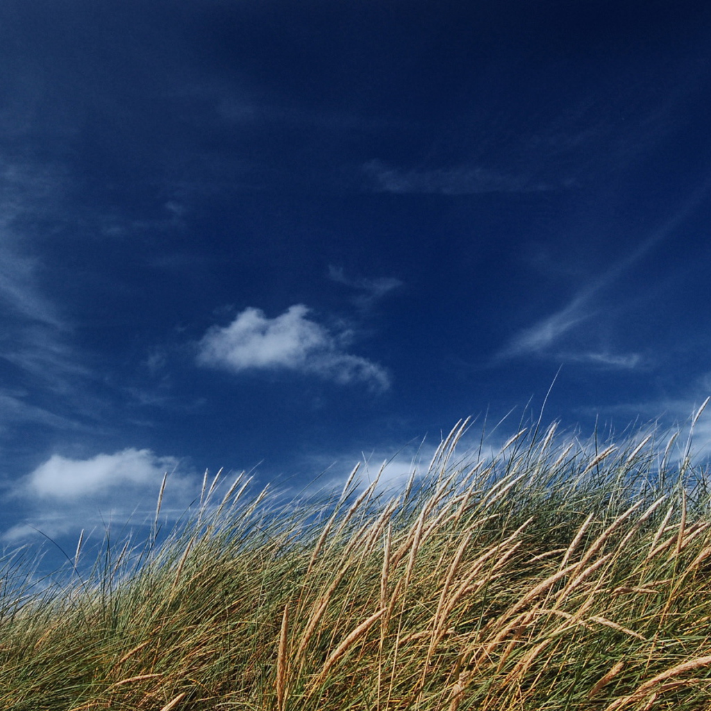 Голубое небо