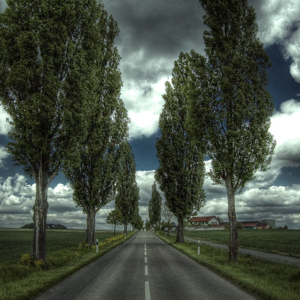 Деревенская дорога