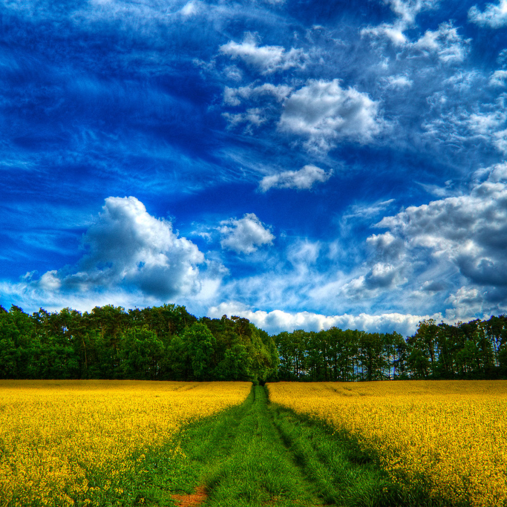 Сказочное небо