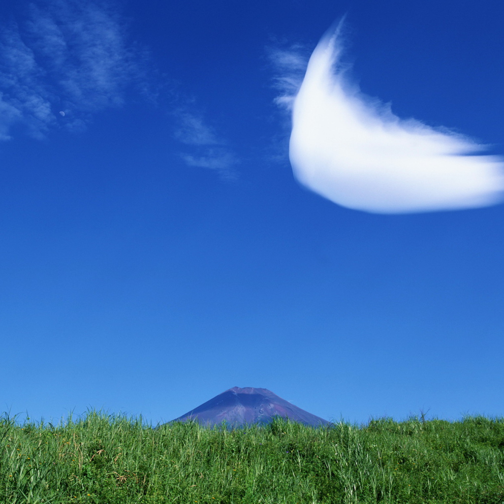 Интересное облако