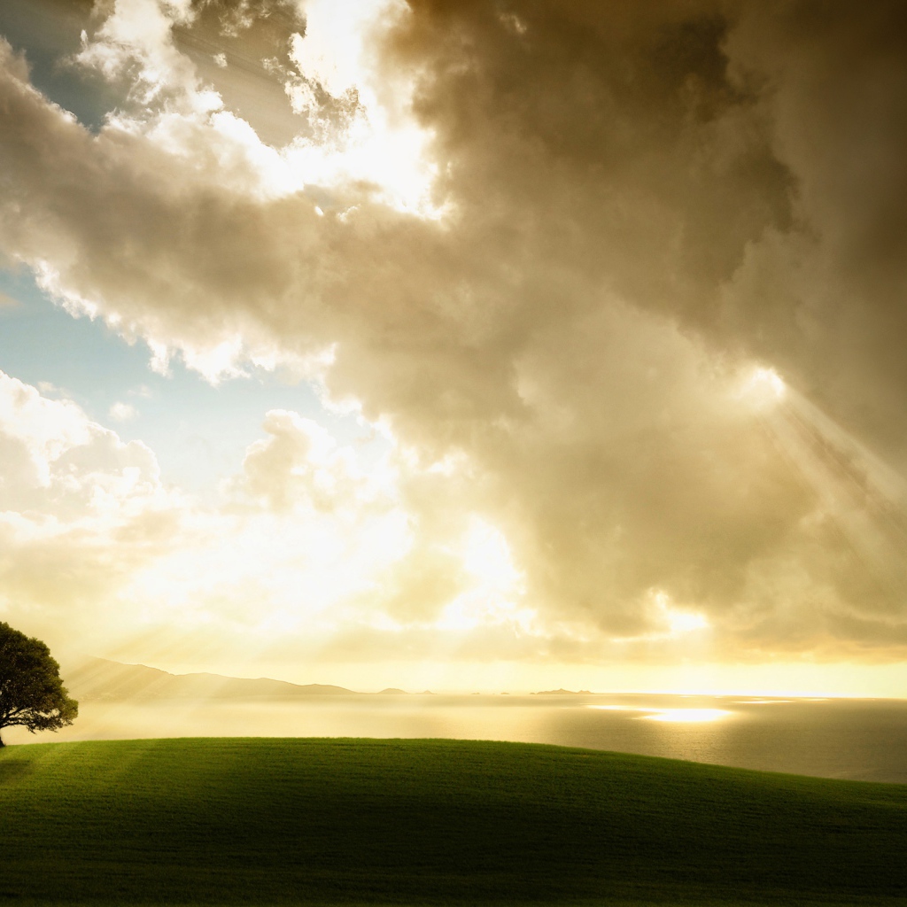 Приближающаяся буря