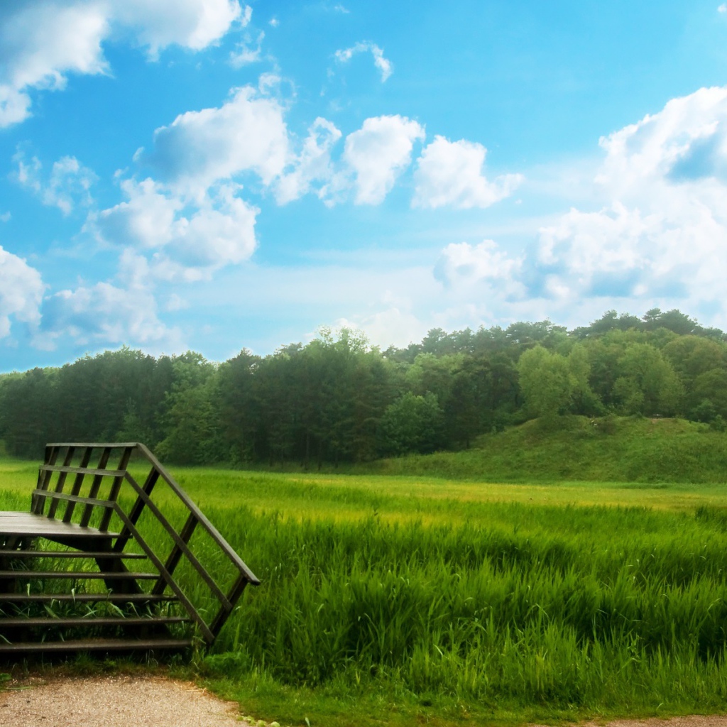 Зеленый мост