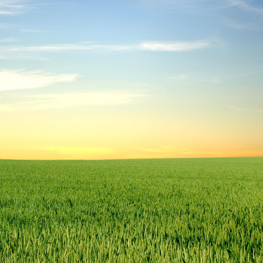 Зеленый горизонт