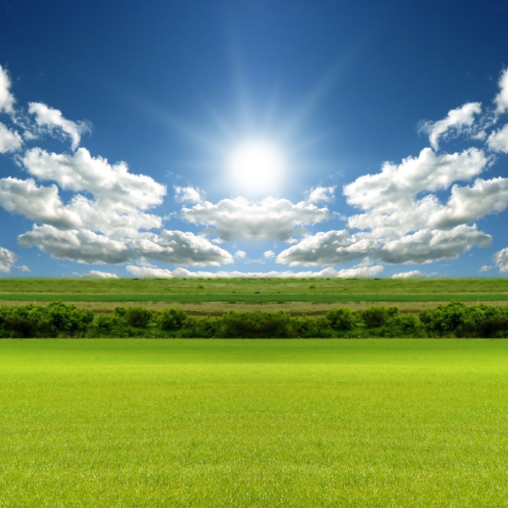 Зеленое поле под лазурным небом